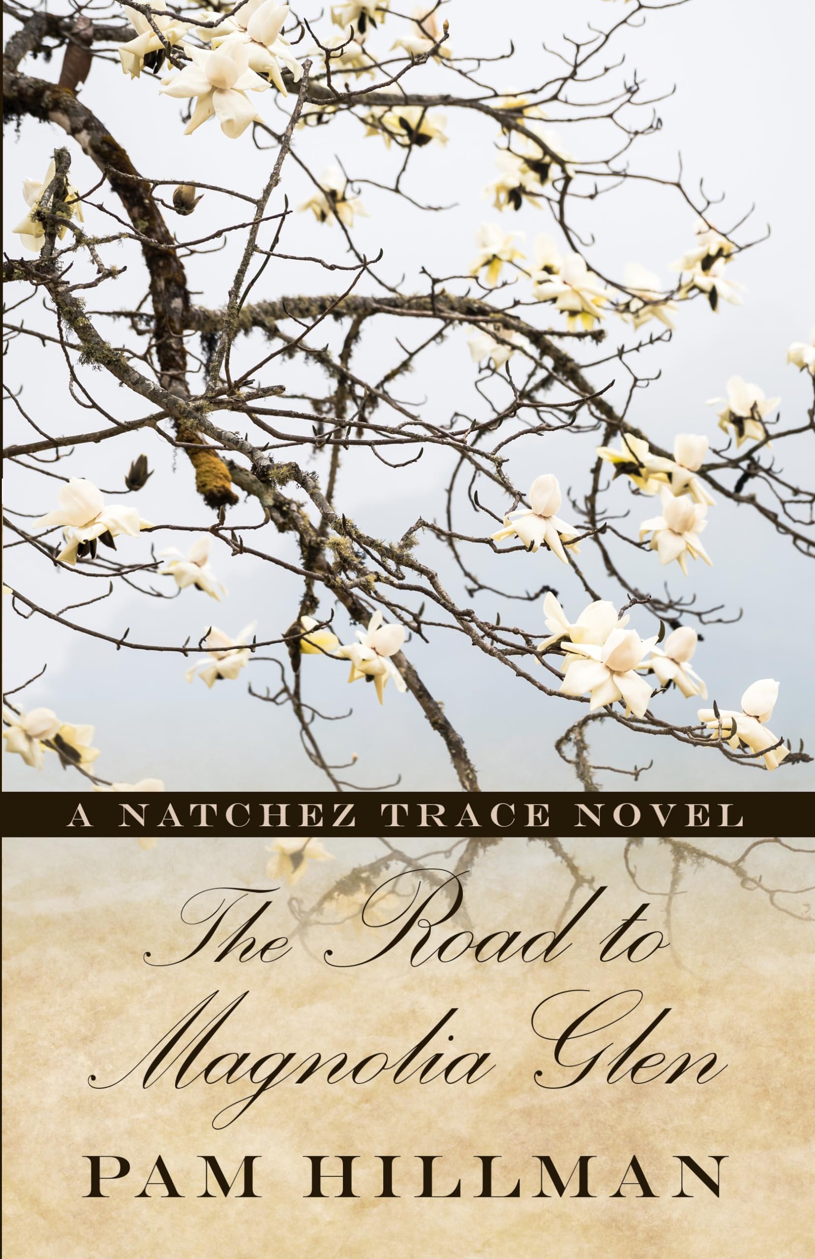 The Road to Magnolia Glen: A Natchez Trace Novel (Thorndike Press Large Print Christian Historical Fiction: Natchez Trace),Used