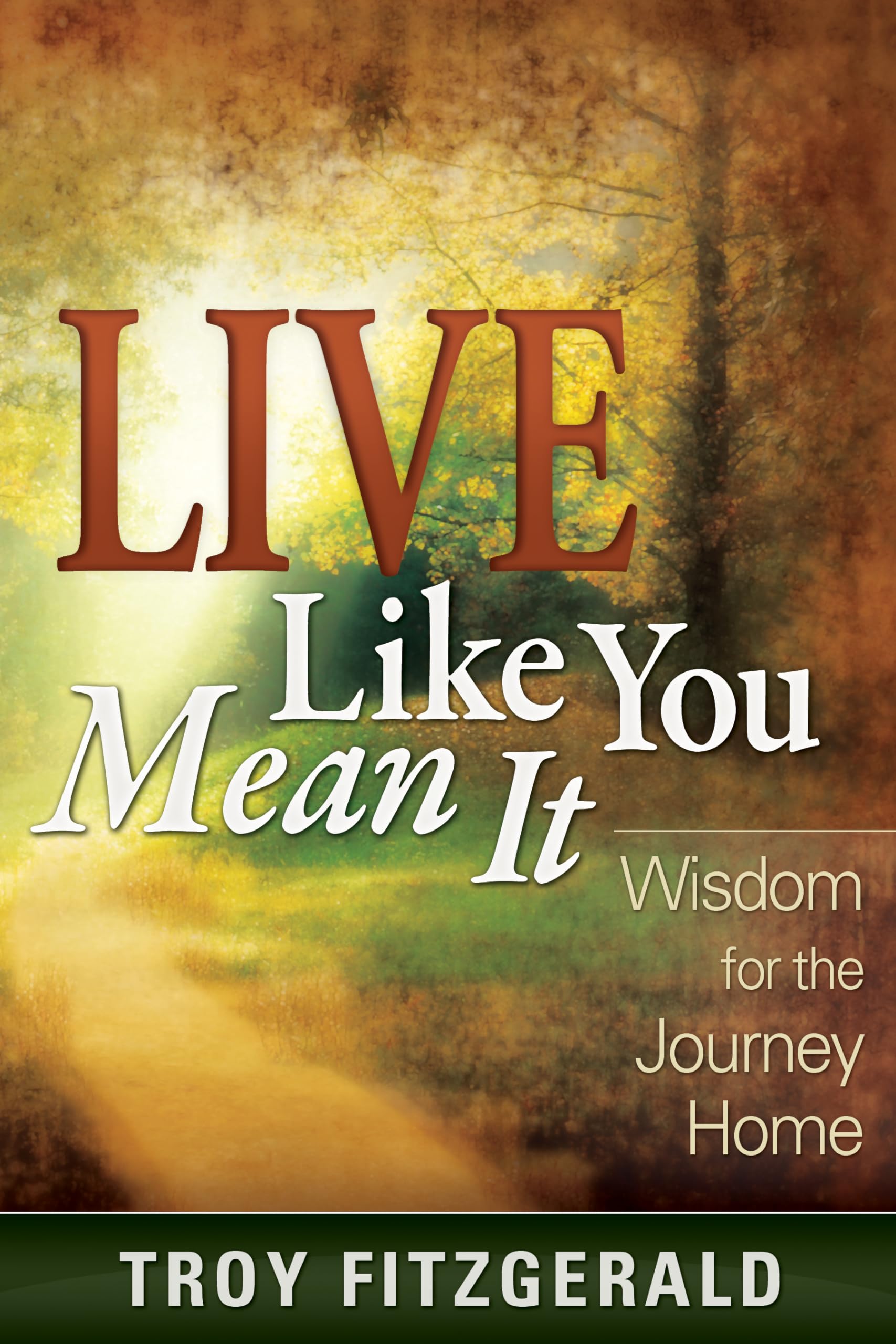 Live Like You Mean It: Wisdom for the Journey Home,Used