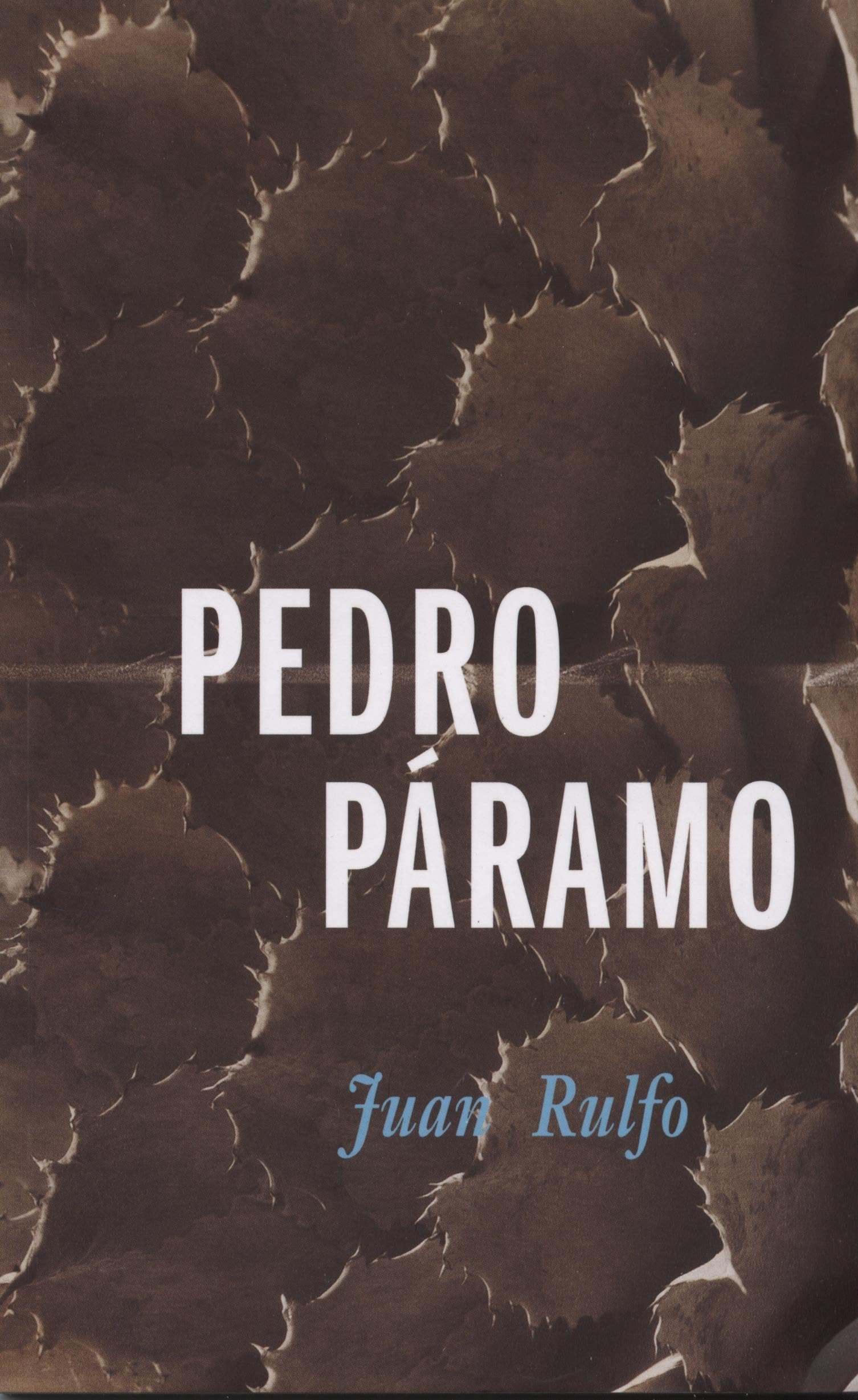 Pedro Paramo (Idiomas Y Literatura) (Spanish Edition),Used