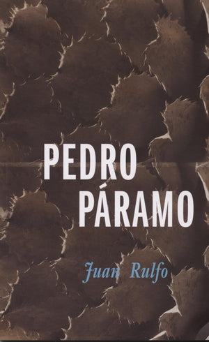 Pedro Paramo (Idiomas Y Literatura) (Spanish Edition),Used