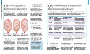 The Pregnancy Encyclopedia: All Your Questions Answered,New