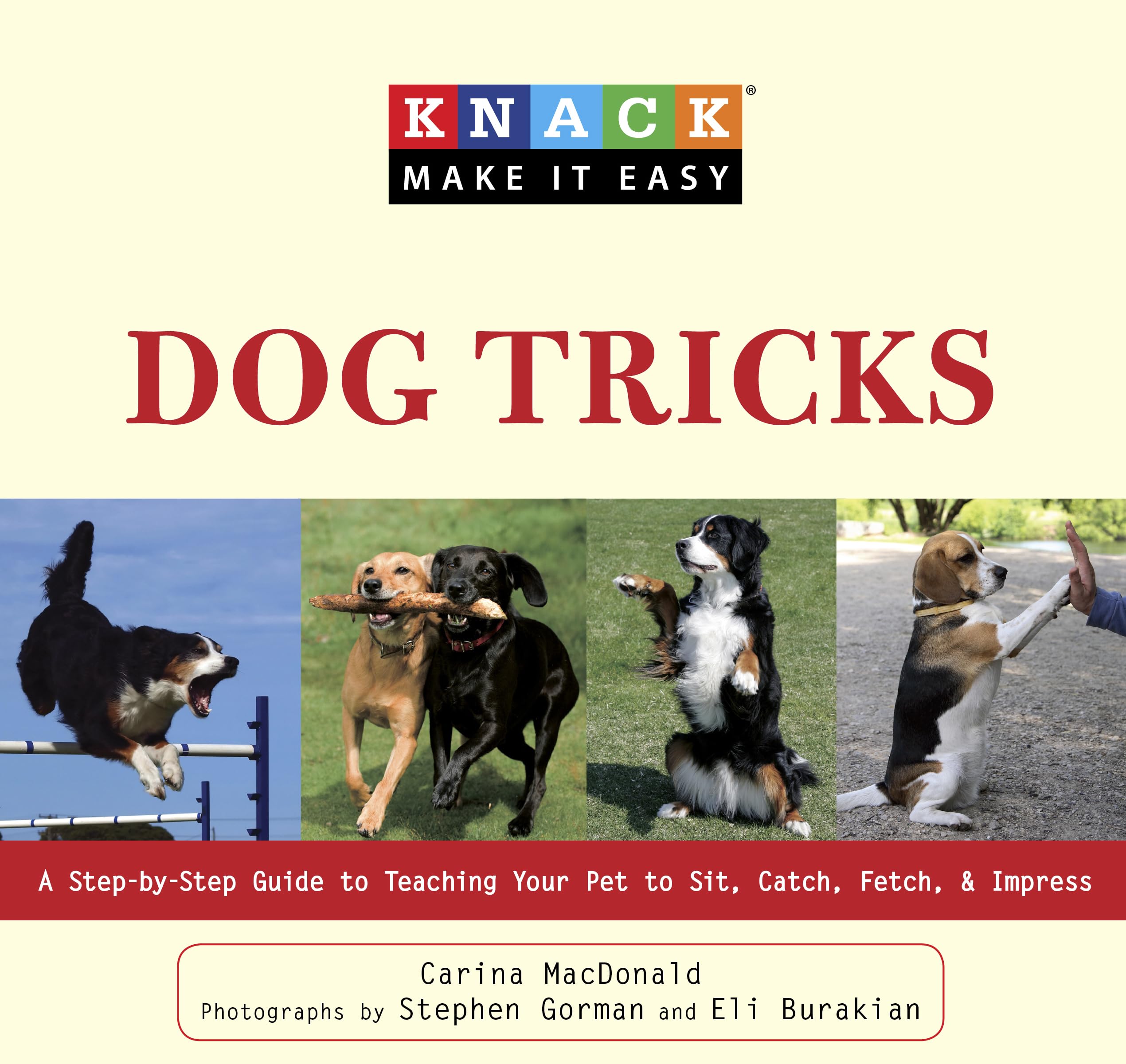 Knack Dog Tricks: A StepByStep Guide To Teaching Your Pet To Sit, Catch, Fetch, & Impress (Knack: Make It Easy),Used