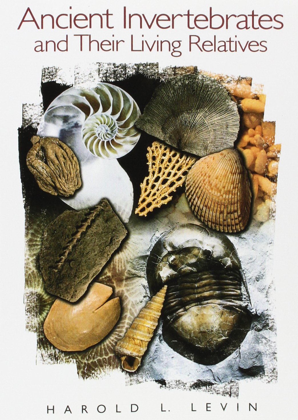 Ancient Invertebrates and Their Living Relatives,New