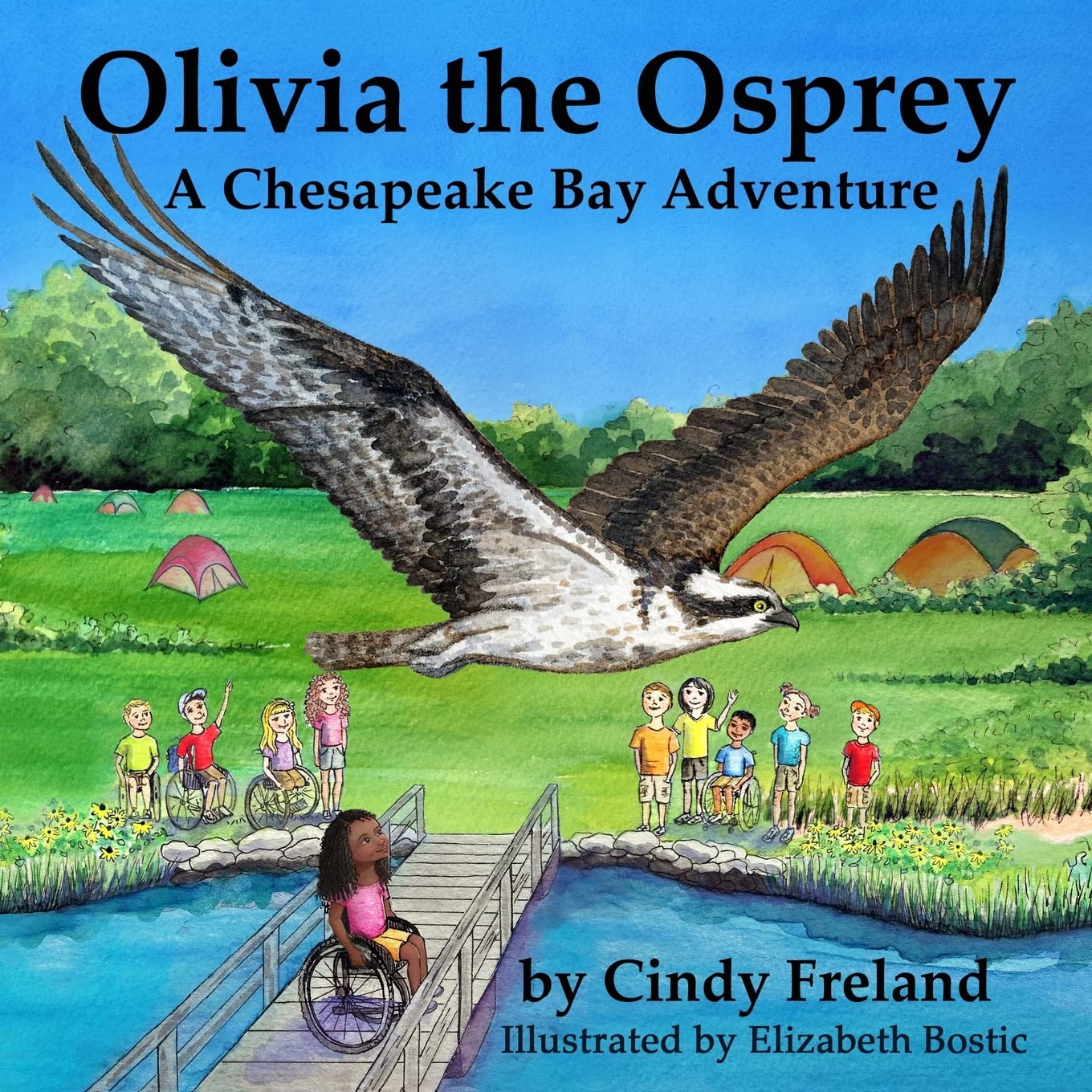 Olivia the Osprey: A Chesapeake Bay Adventure,Used