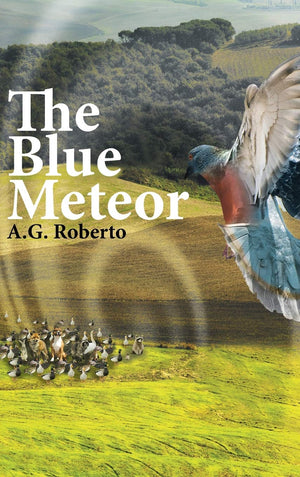 The Blue Meteor,Used