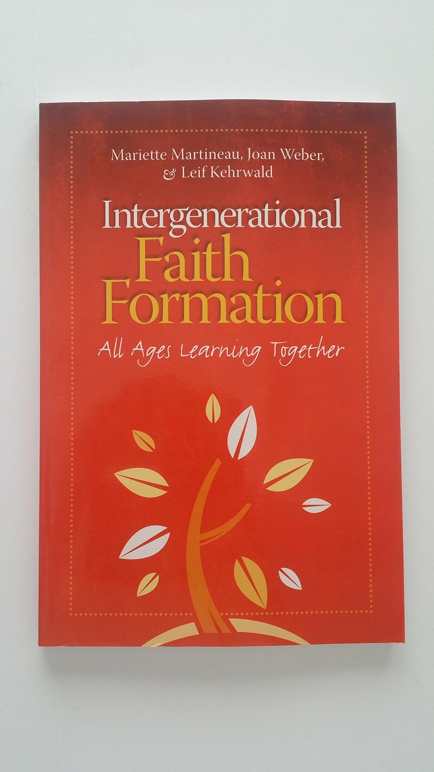 Intergenerational Faith Formation: Learning the Way We Live,Used