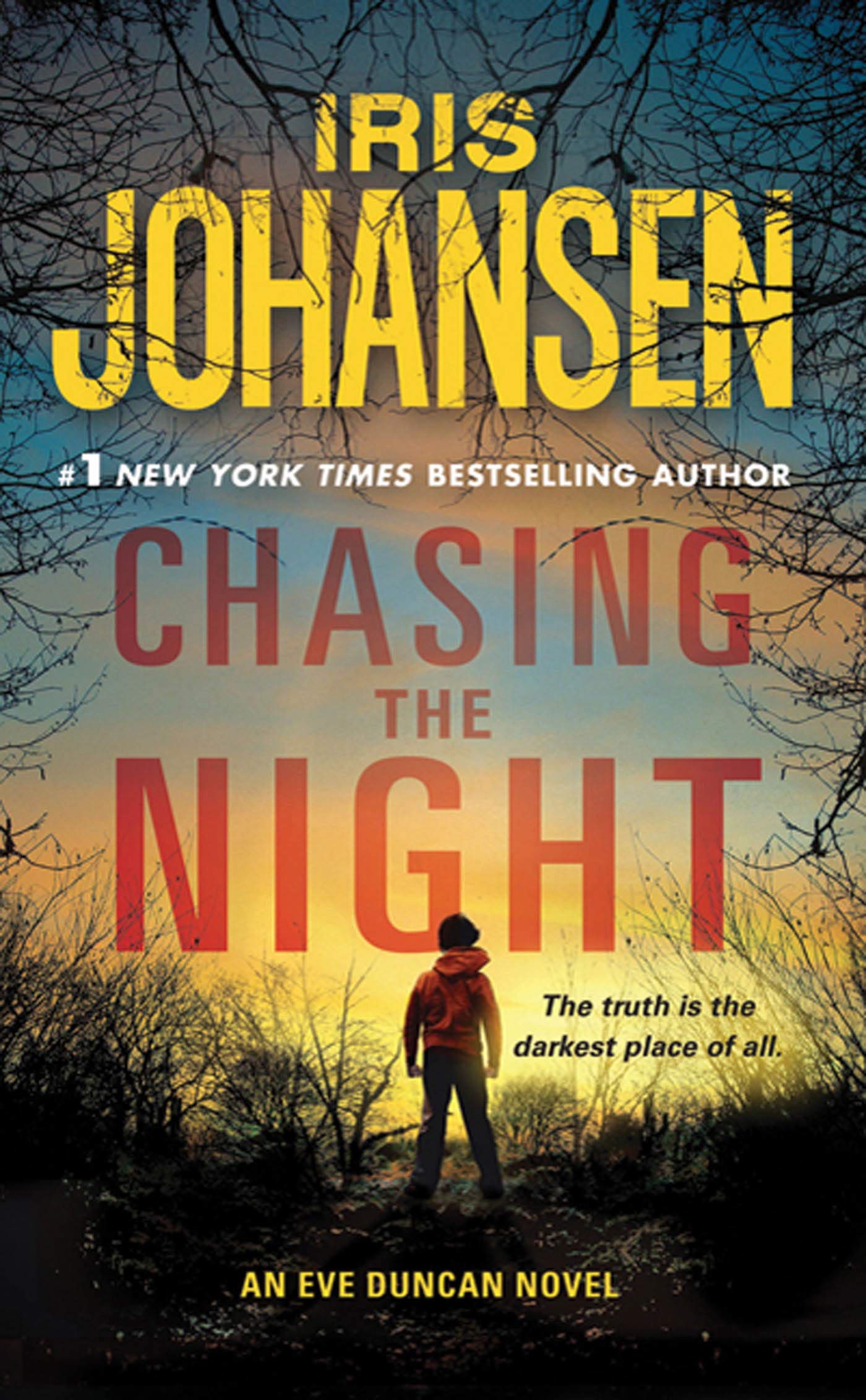 Chasing the Night: An Eve Duncan Novel (Eve Duncan, 11),Used