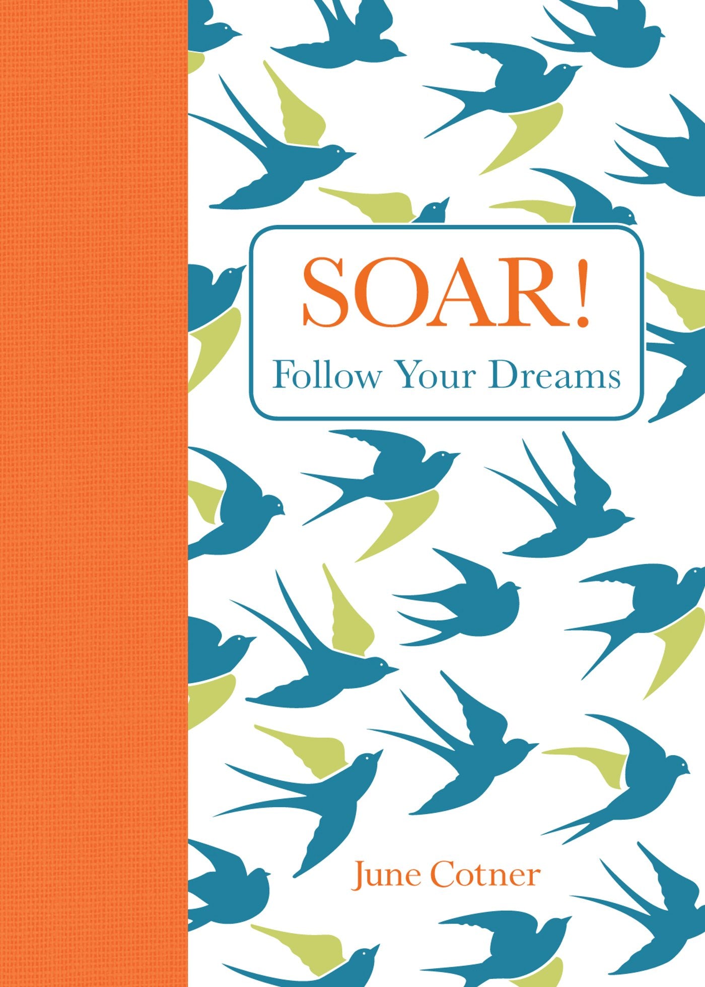 Soar!: Follow Your Dreams,Used