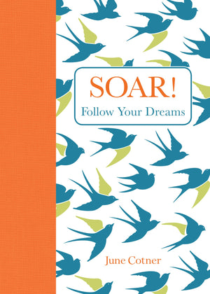 Soar!: Follow Your Dreams,Used