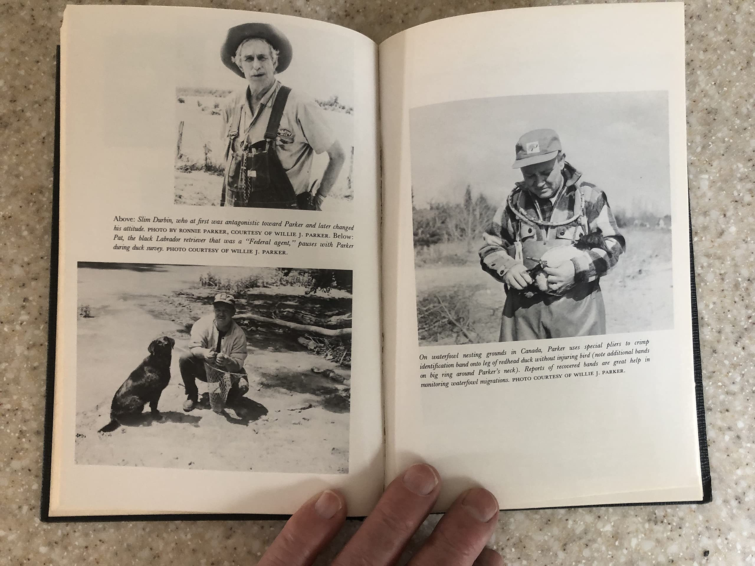 Halt!: I'm a Federal Game Warden: The amazing career of 'the toughest game warden of them all',Used