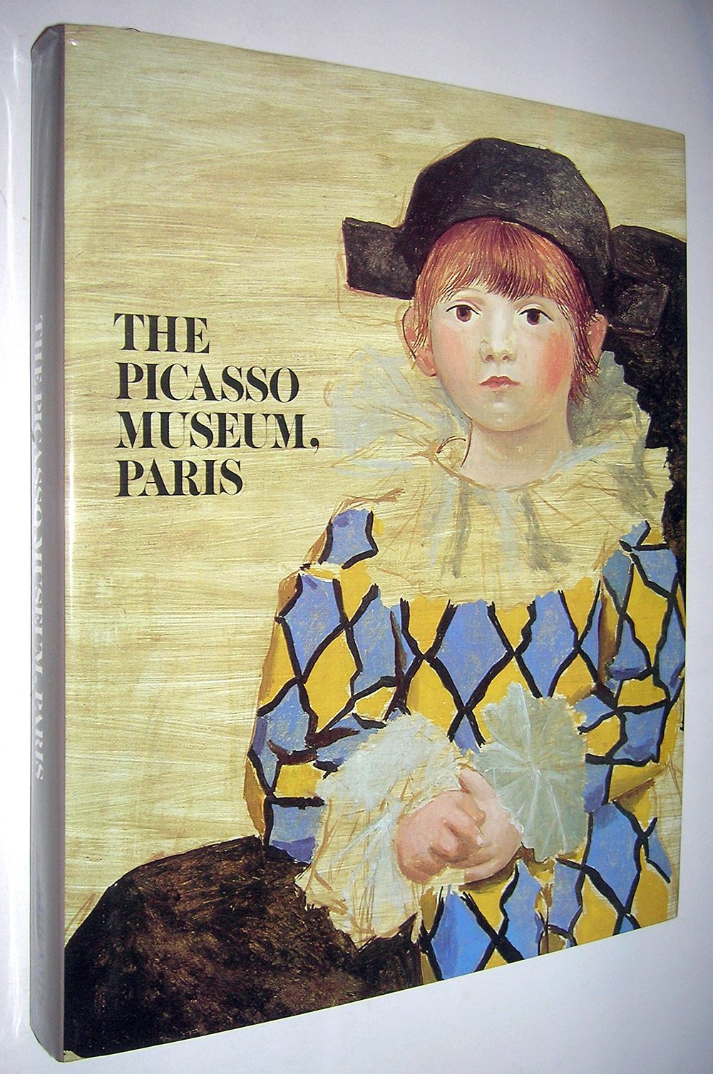 Picasso Museum, Paris, The: Painting, Papier Colles, Picture Reliefs, Sculptures, Ceramics (English And French Edition),Used
