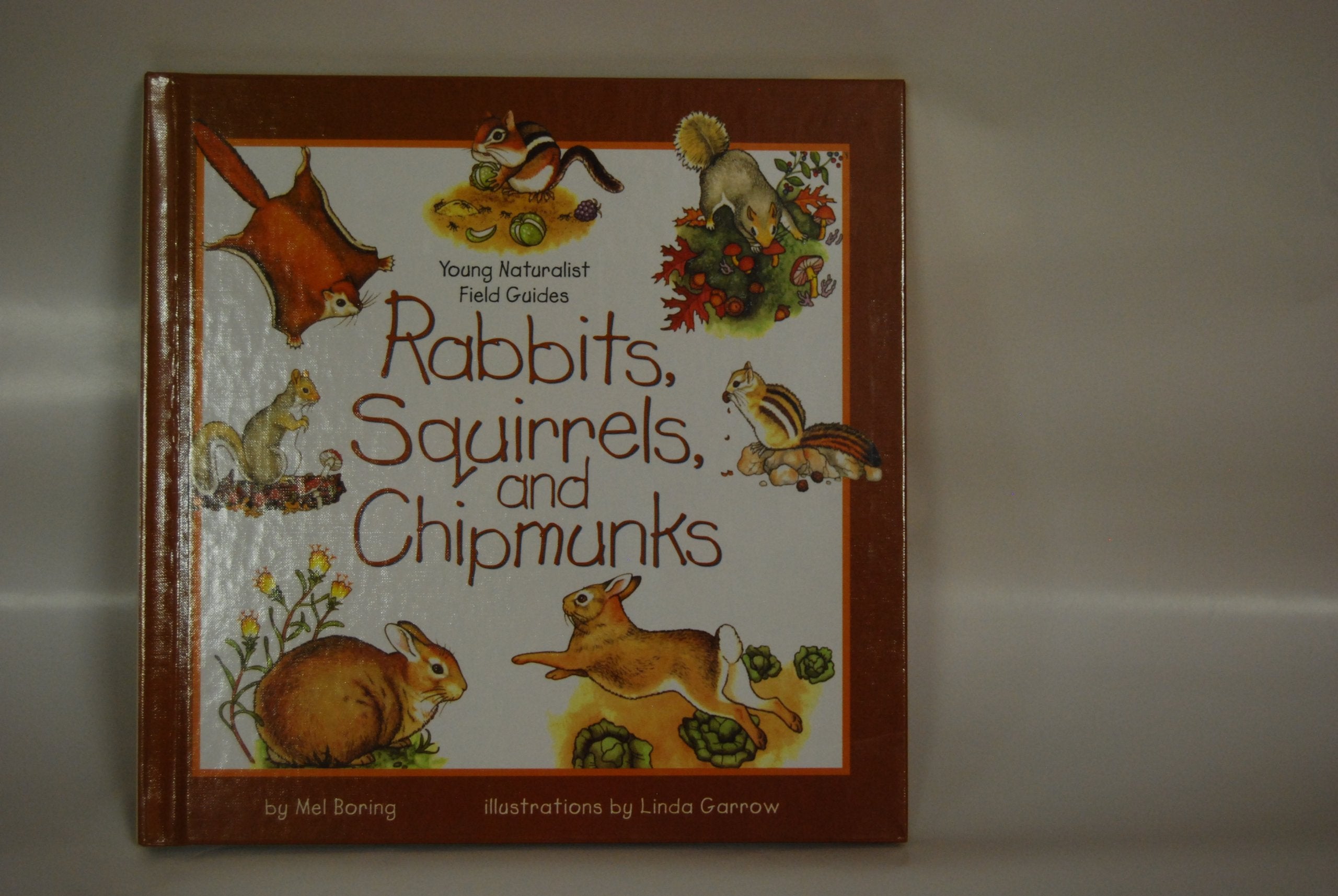 Rabbits, Squirrels, and Chipmunks (Young Naturalist Field Guides),Used