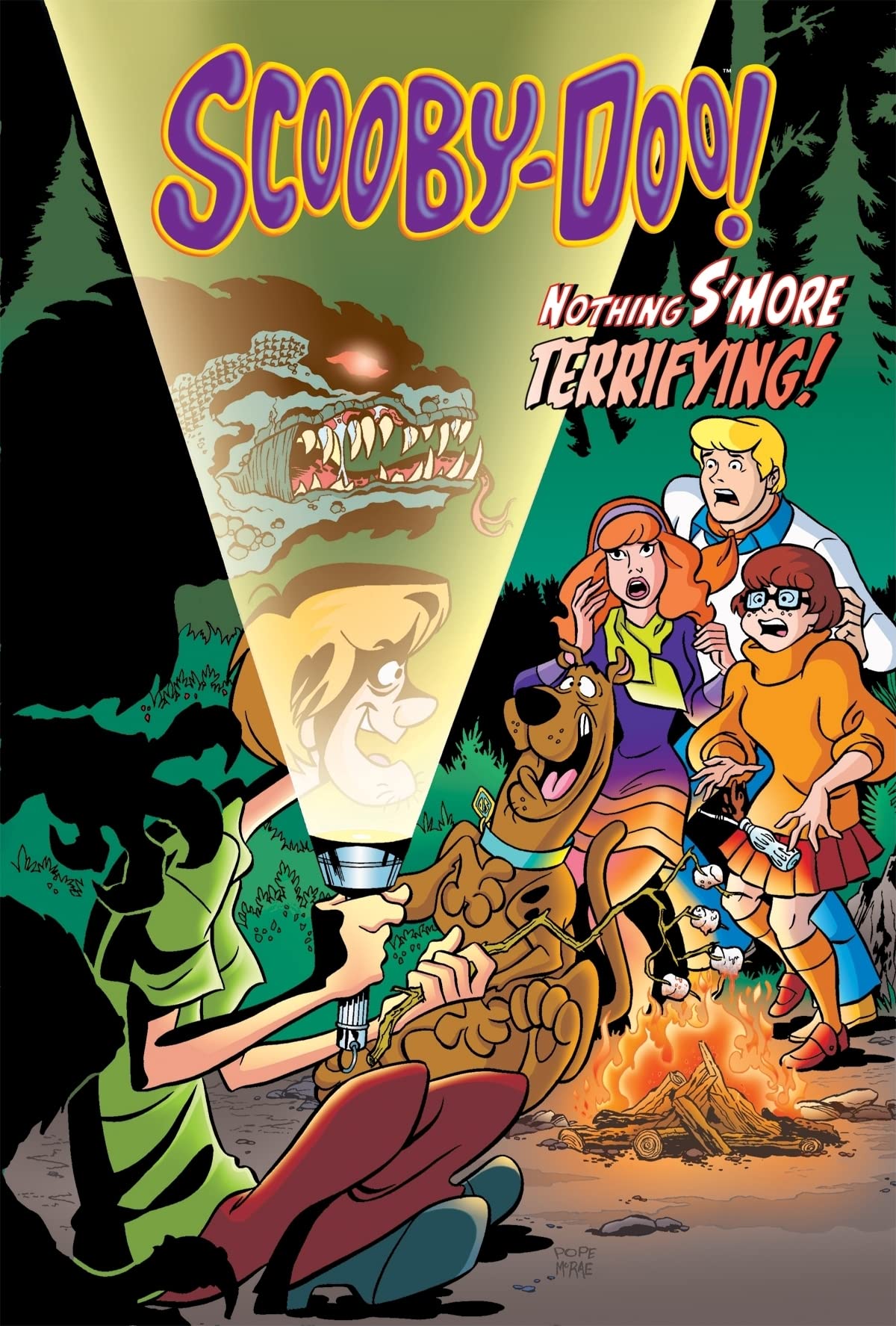 ScoobyDoo! in Nothing S'more Terrifying! (ScoobyDoo Graphic Novels),Used