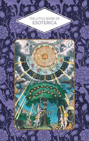 The Little Book of Esoterica,Used