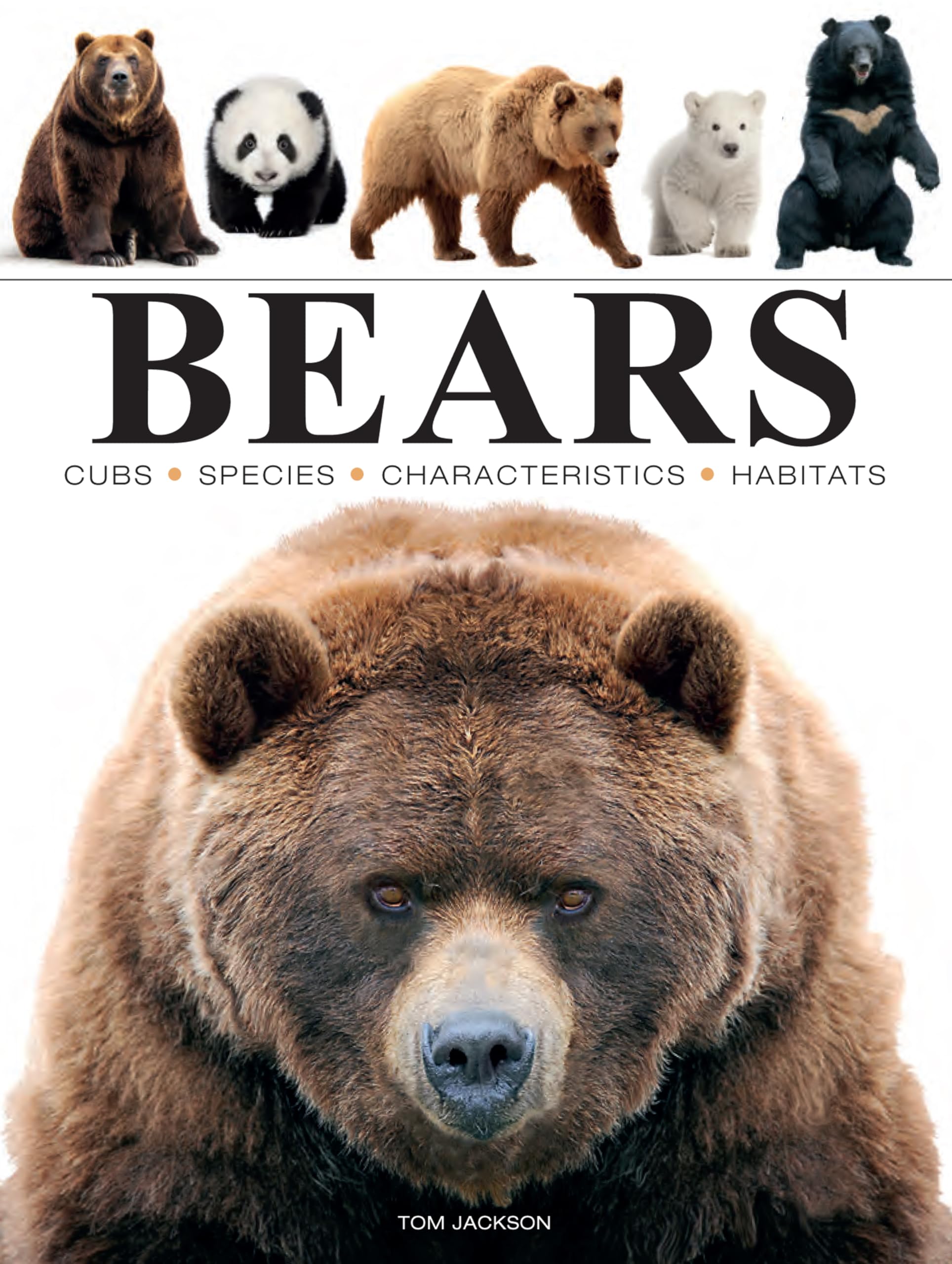 Bears (Mini Encyclopedia),New
