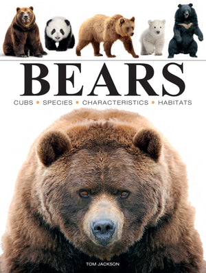 Bears (Mini Encyclopedia),New