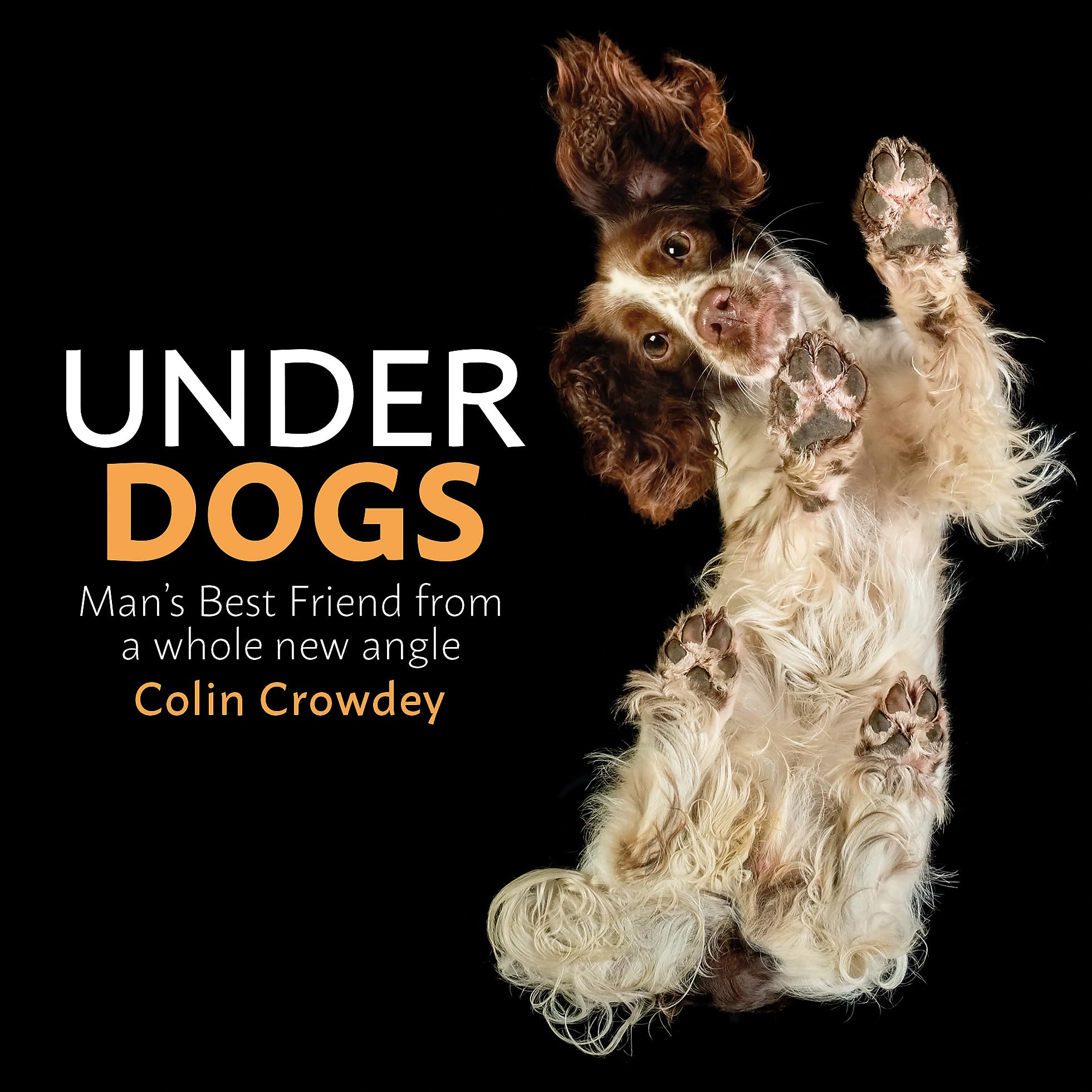 Underdogs,Used