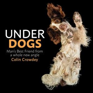 Underdogs,Used