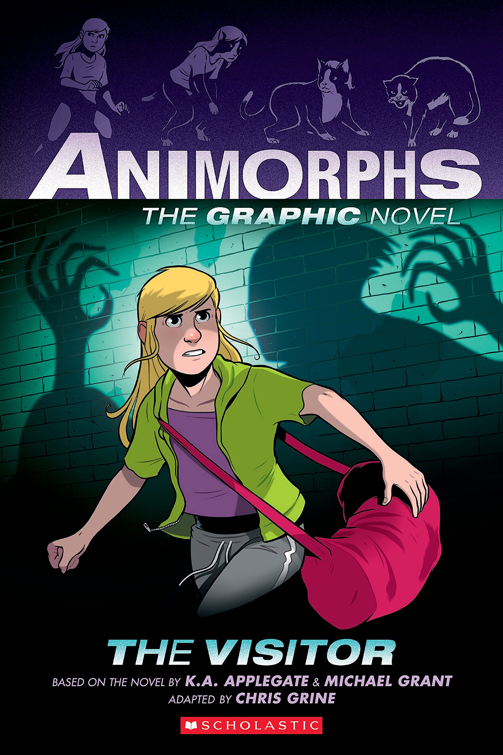 The Visitor: A Graphic Novel (Animorphs #2) (Animorphs Graphic Novels),Used