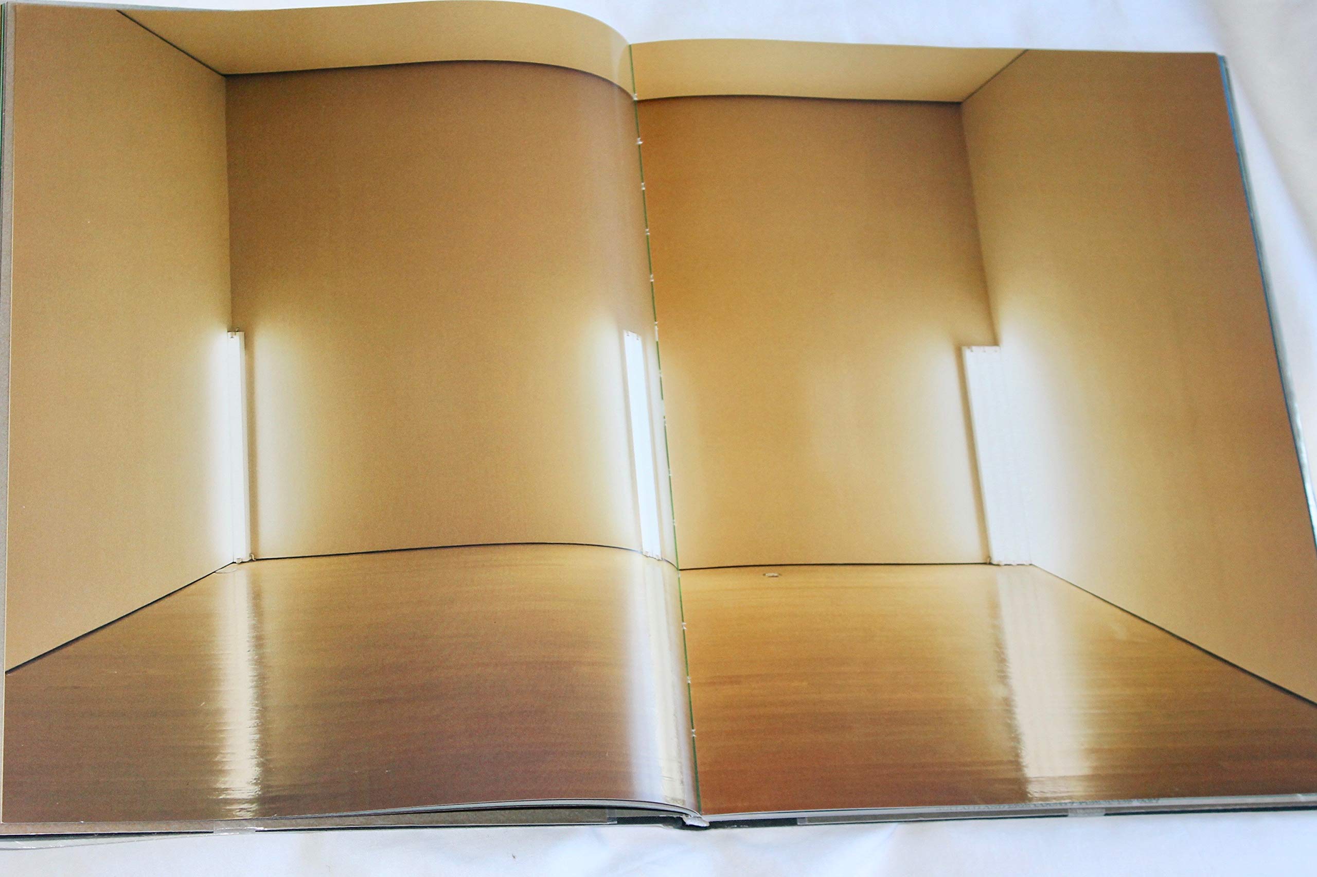 Dan Flavin: The Architecture of Light,Used