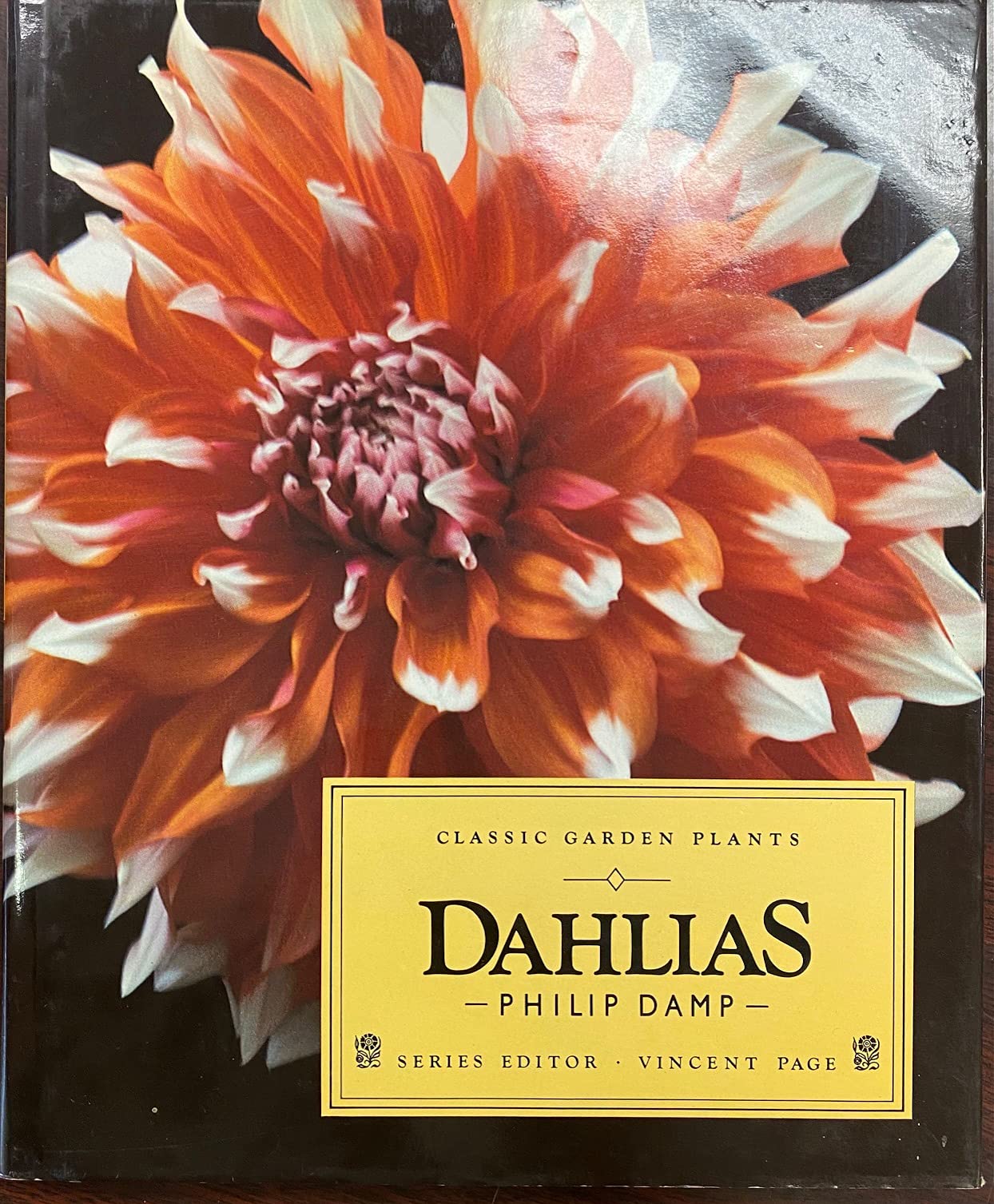 Dahlias (Classic Garden Plants),Used