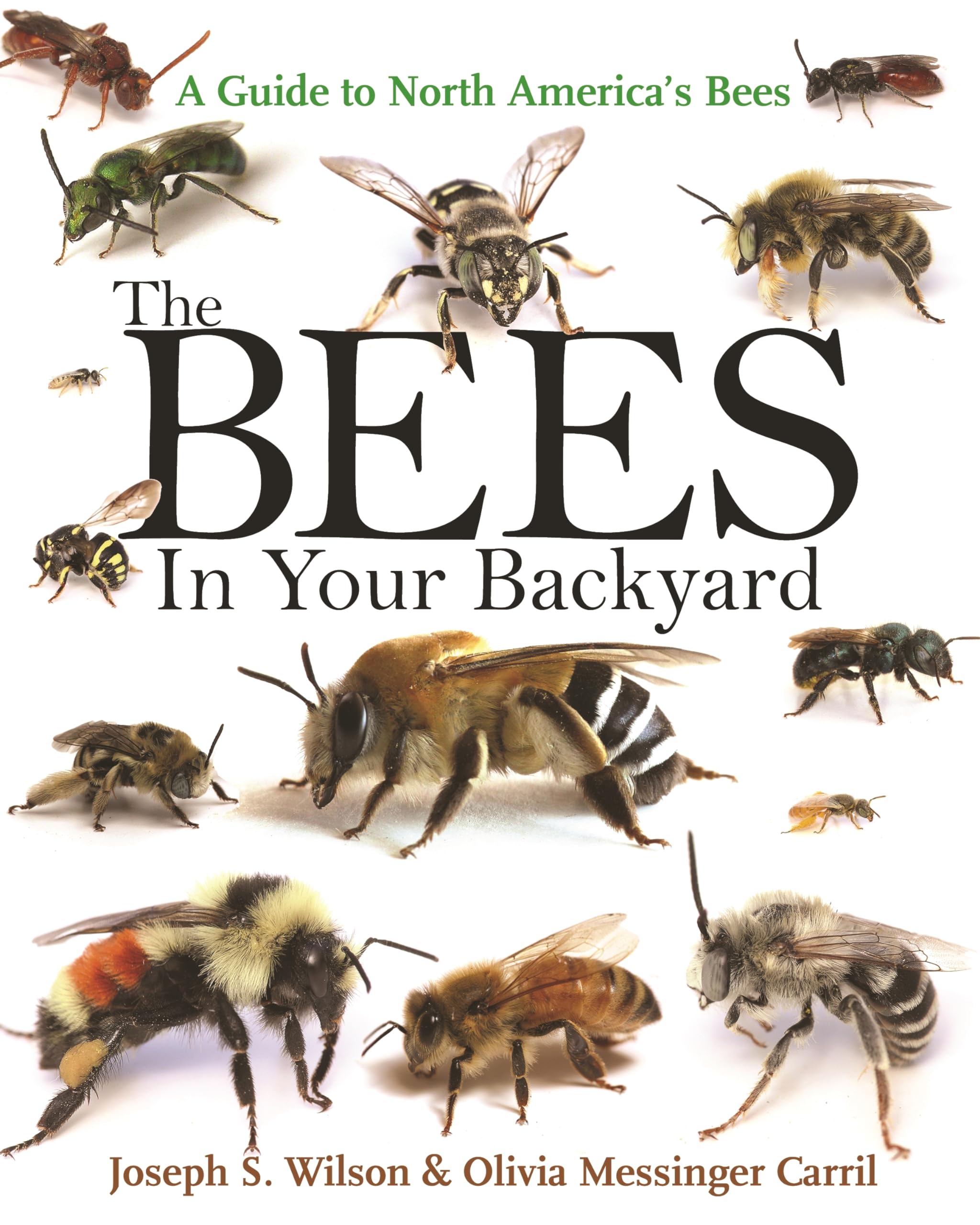 The Bees In Your Backyard: A Guide To North America'S Bees-used