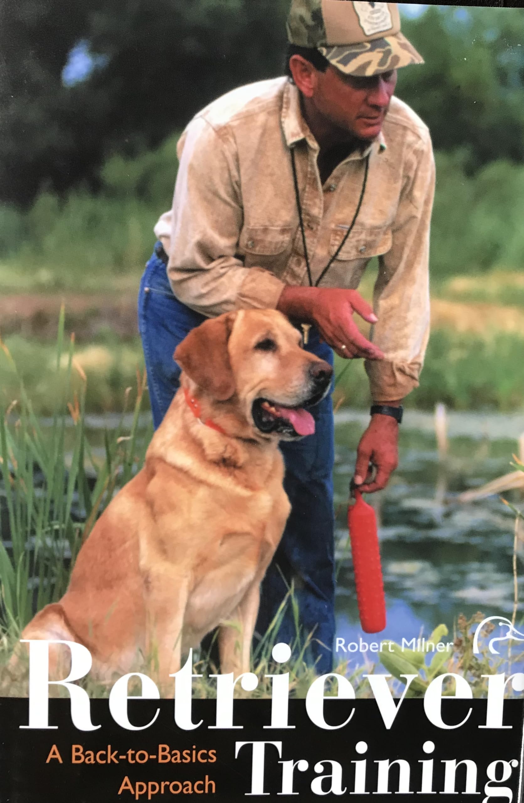 Retriever Training: A BackToBasics Approach,Used