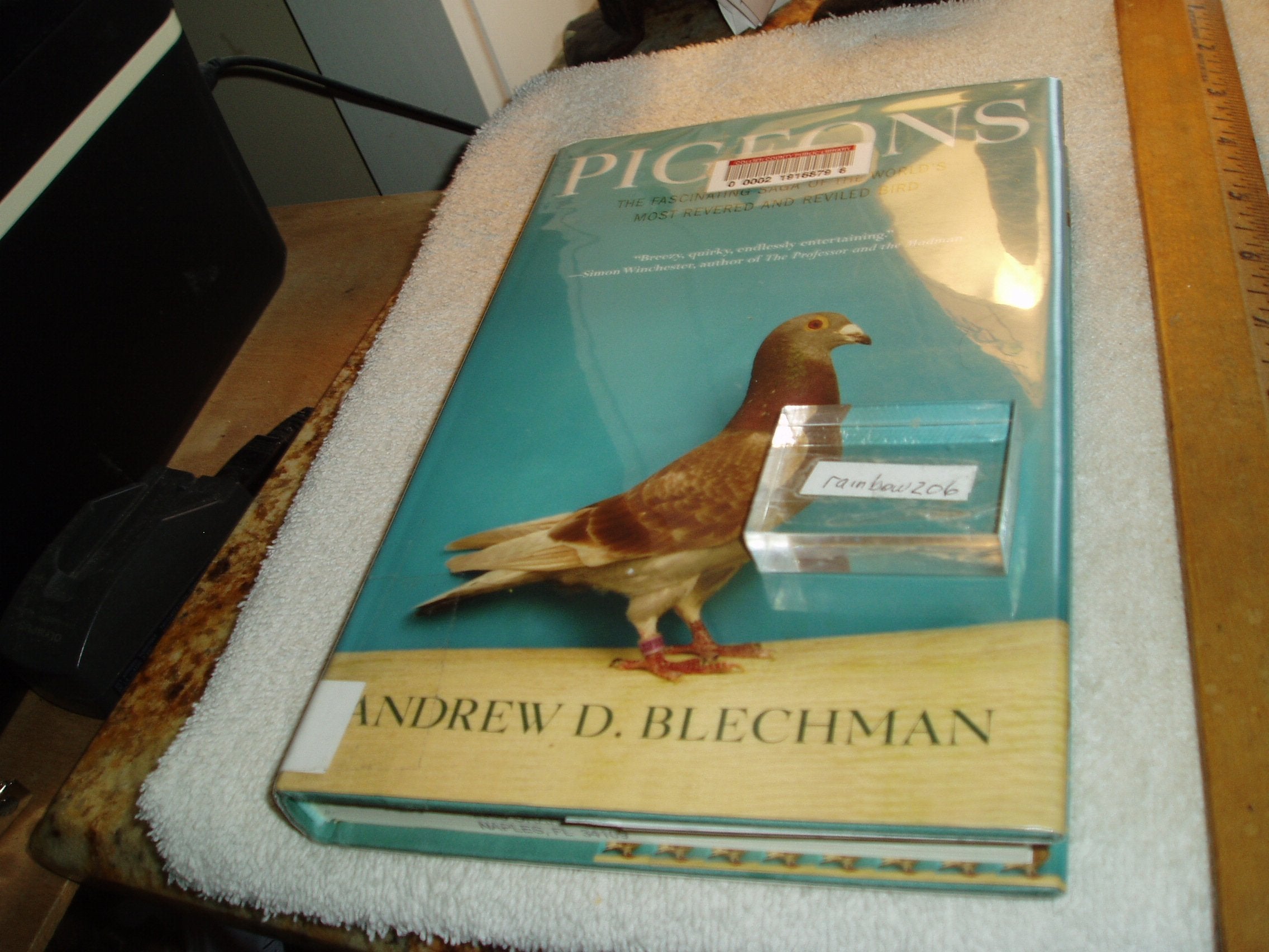 Pigeons: The Fascinating Saga Of The World'S Most Revered And Reviled Bird
