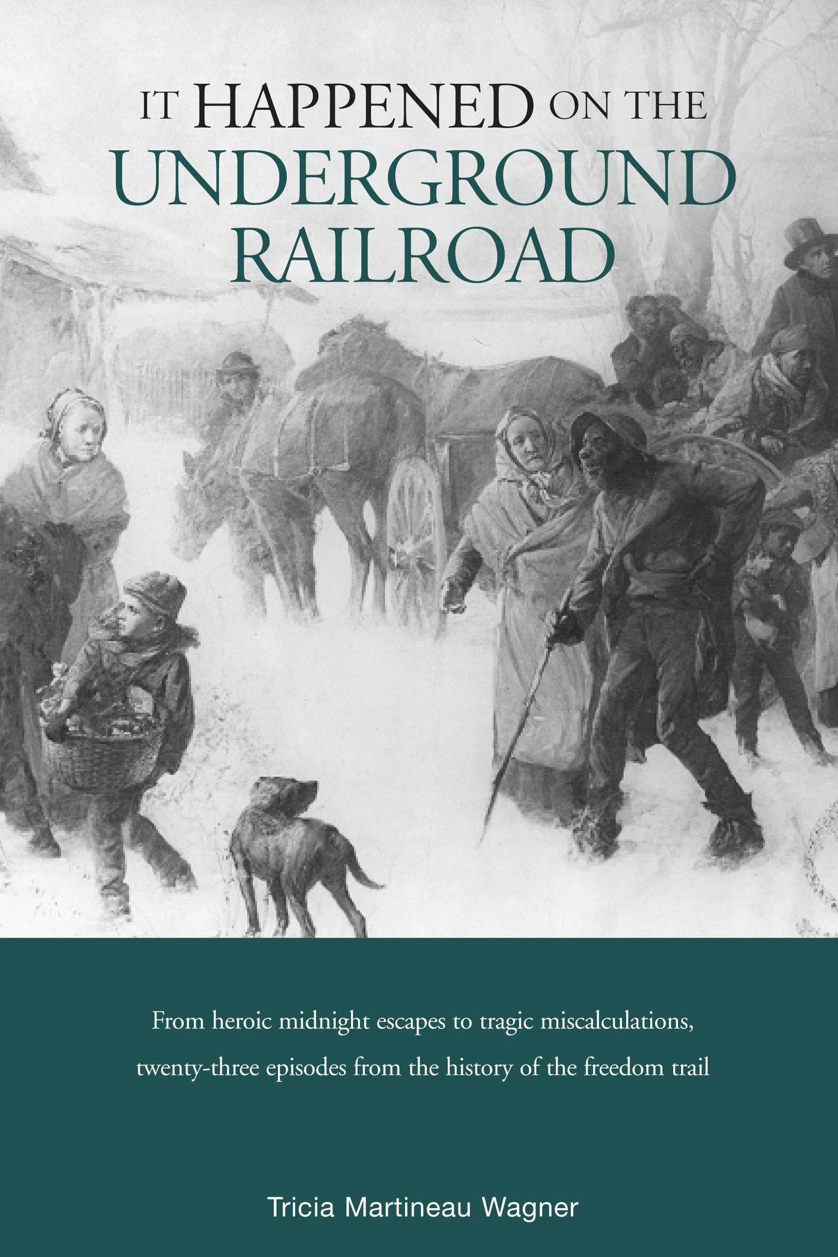 It Happened on the Underground Railroad (It Happened in Series),Used