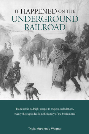 It Happened on the Underground Railroad (It Happened in Series),Used