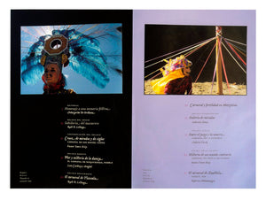 Artes de Mexico # 77. Mascaras de carnaval / Carnival Masks (Spanish and English Edition),Used