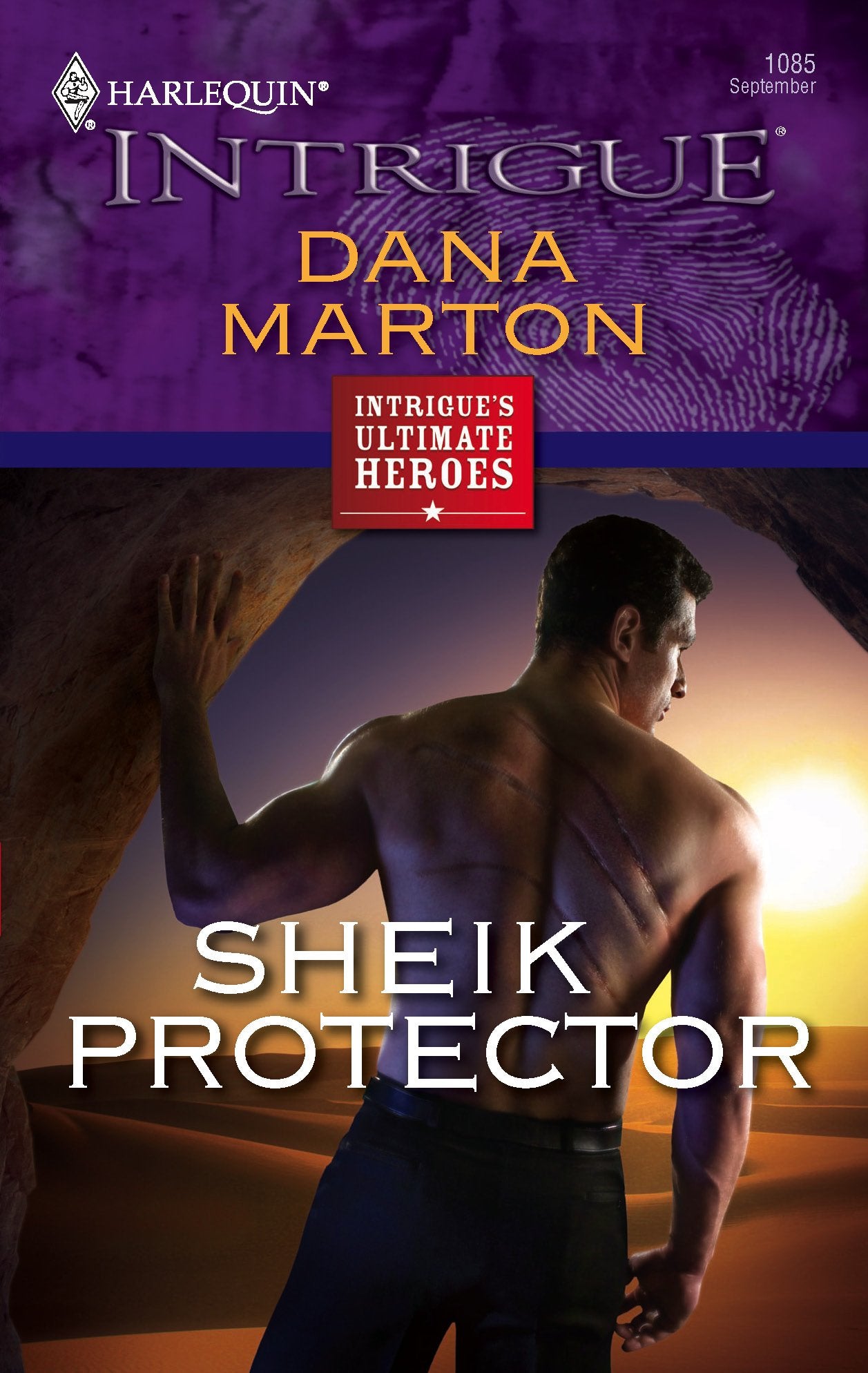 Sheik Protector,Used
