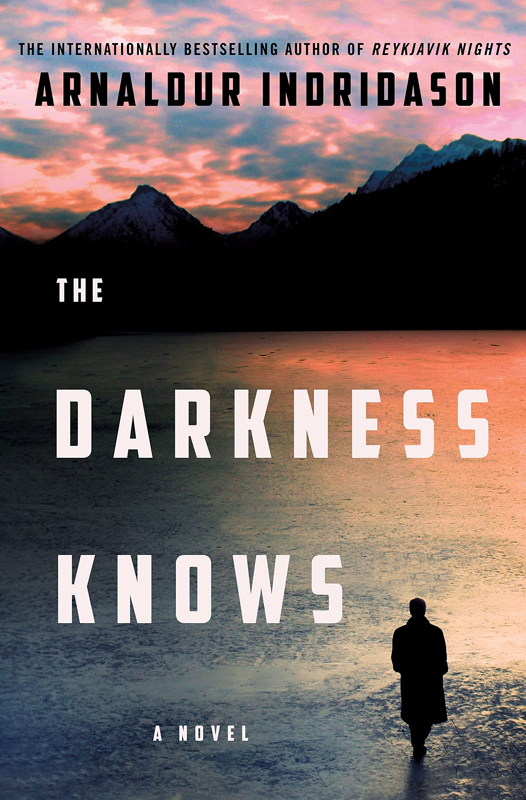 The Darkness Knows: A Novel (Detective Konrad),Used