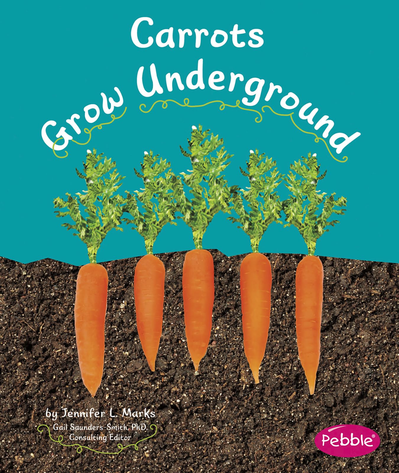 Carrots Grow Underground (How Fruits and Vegetables Grow),Used