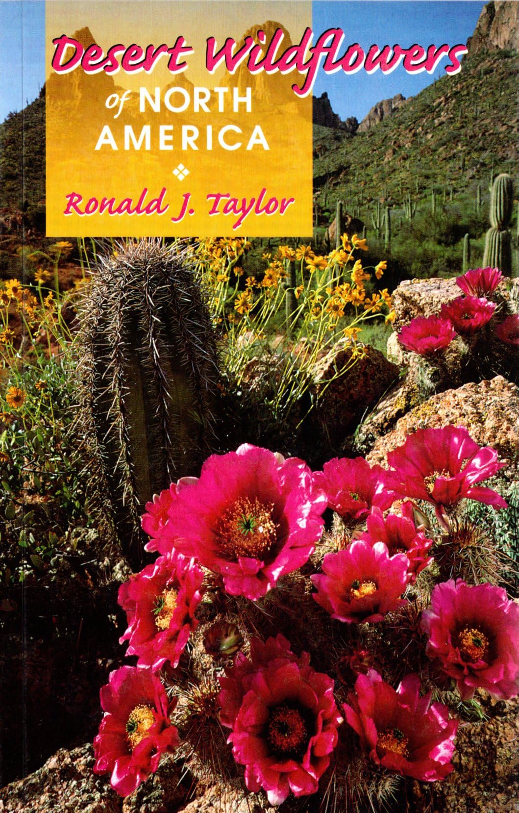 Desert Wildflowers of North America,New