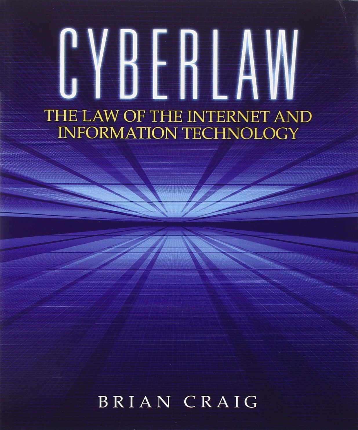 Cyberlaw: The Law Of The Internet And Information Technology,Used
