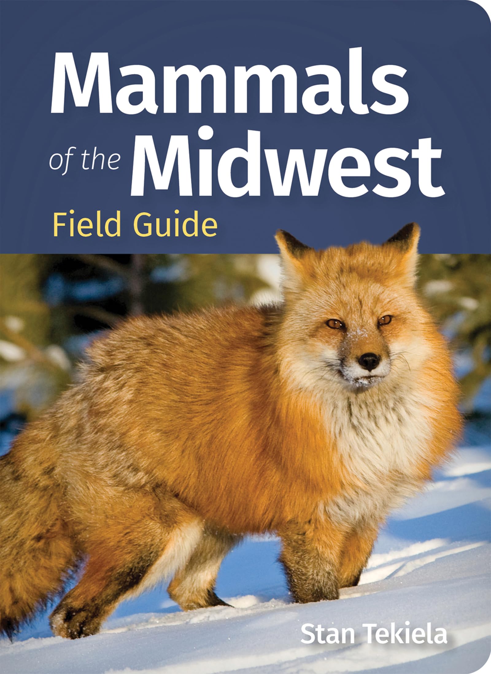 Mammals Of The Midwest Field Guide (Mammal Identification Guides)