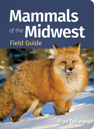 Mammals Of The Midwest Field Guide (Mammal Identification Guides)