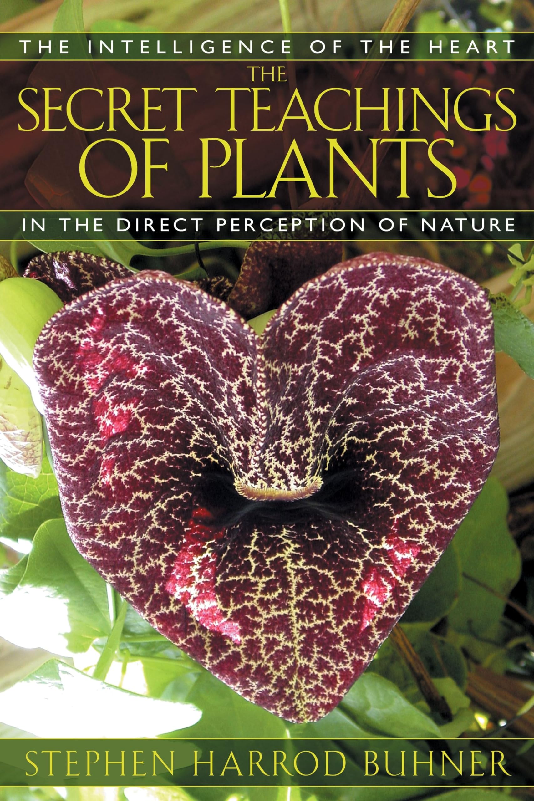 The Secret Teachings Of Plants: The Intelligence Of The Heart In The Direct Perception Of Nature