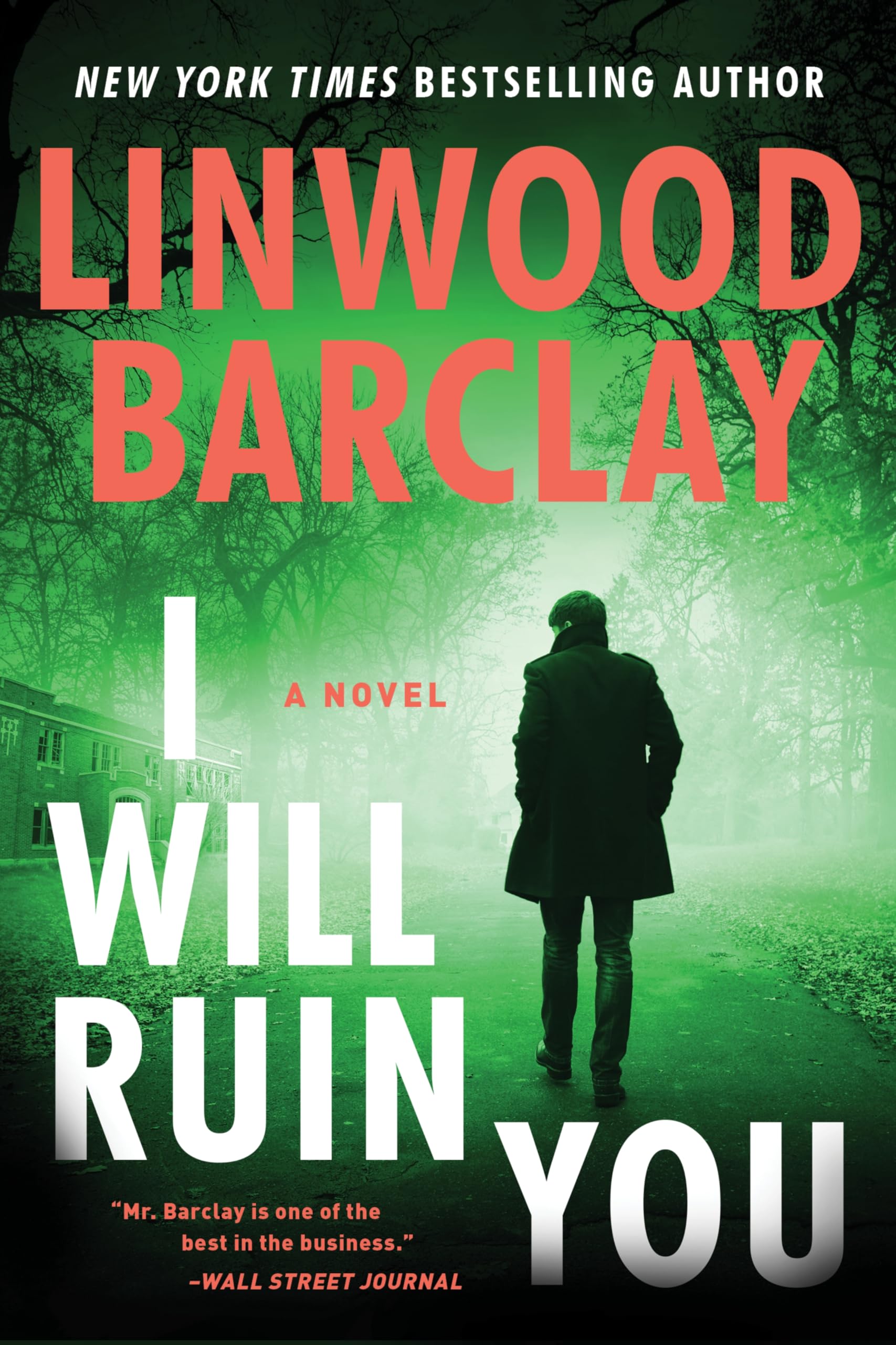 I Will Ruin You: A Novel,Used