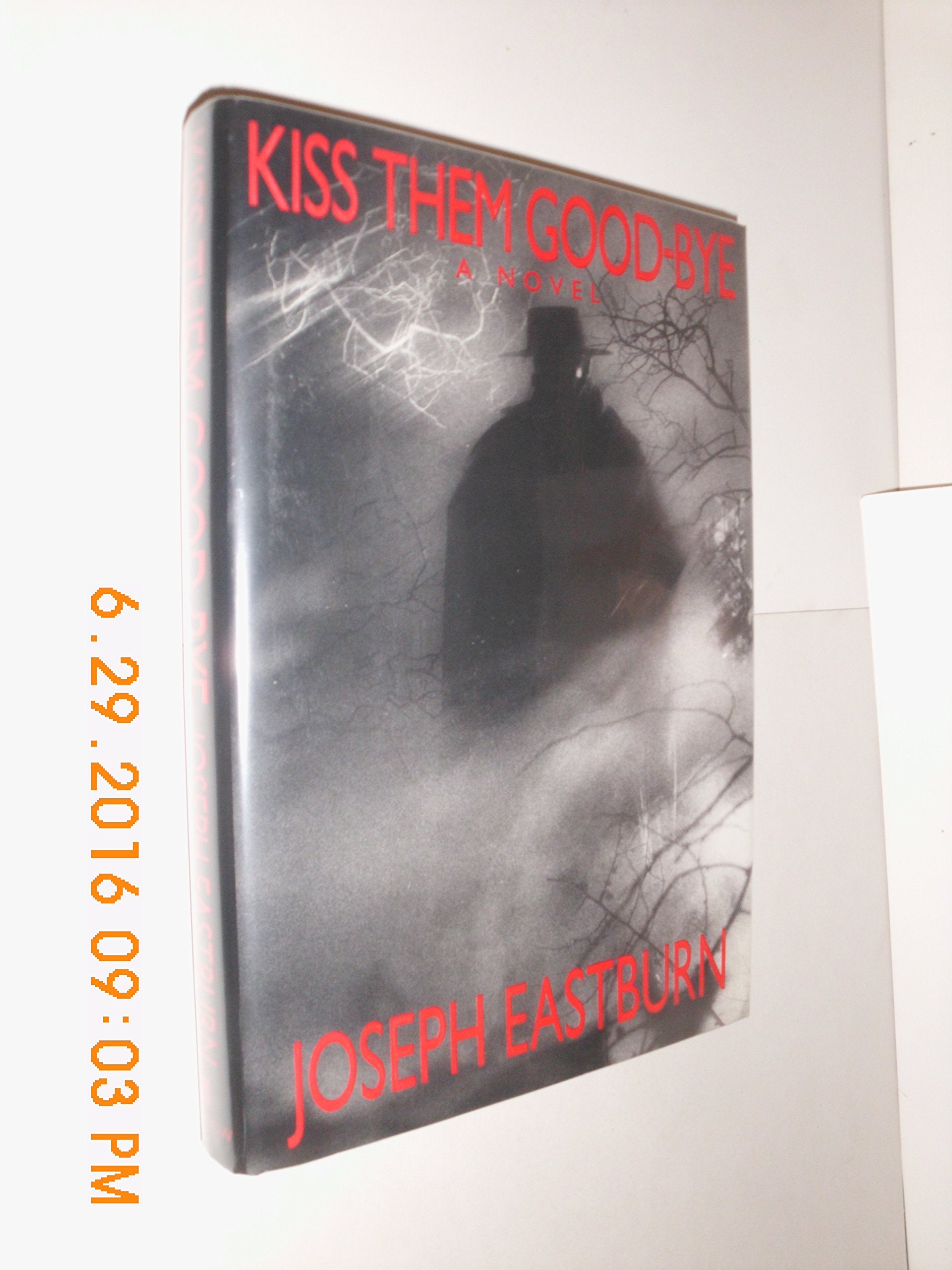 Kiss Them GoodBye: A Novel,Used
