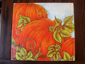 Kitten in the Pumpkin,Used