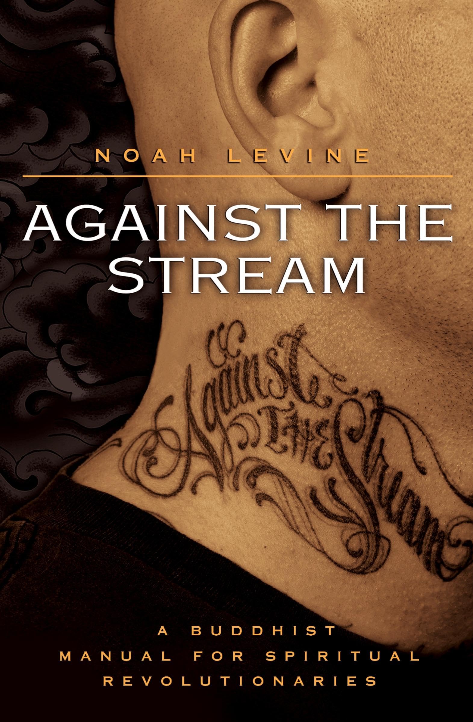 Against the Stream: A Buddhist Manual for Spiritual Revolutionaries,Used