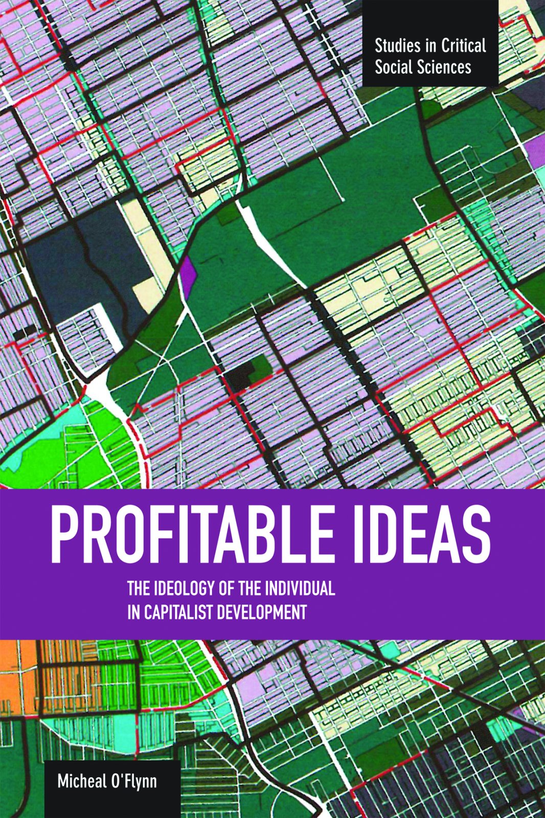 Profitable Ideas: The Ideology Of The Individual In Capitalist Development (Studies In Critical Social Sciences),Used
