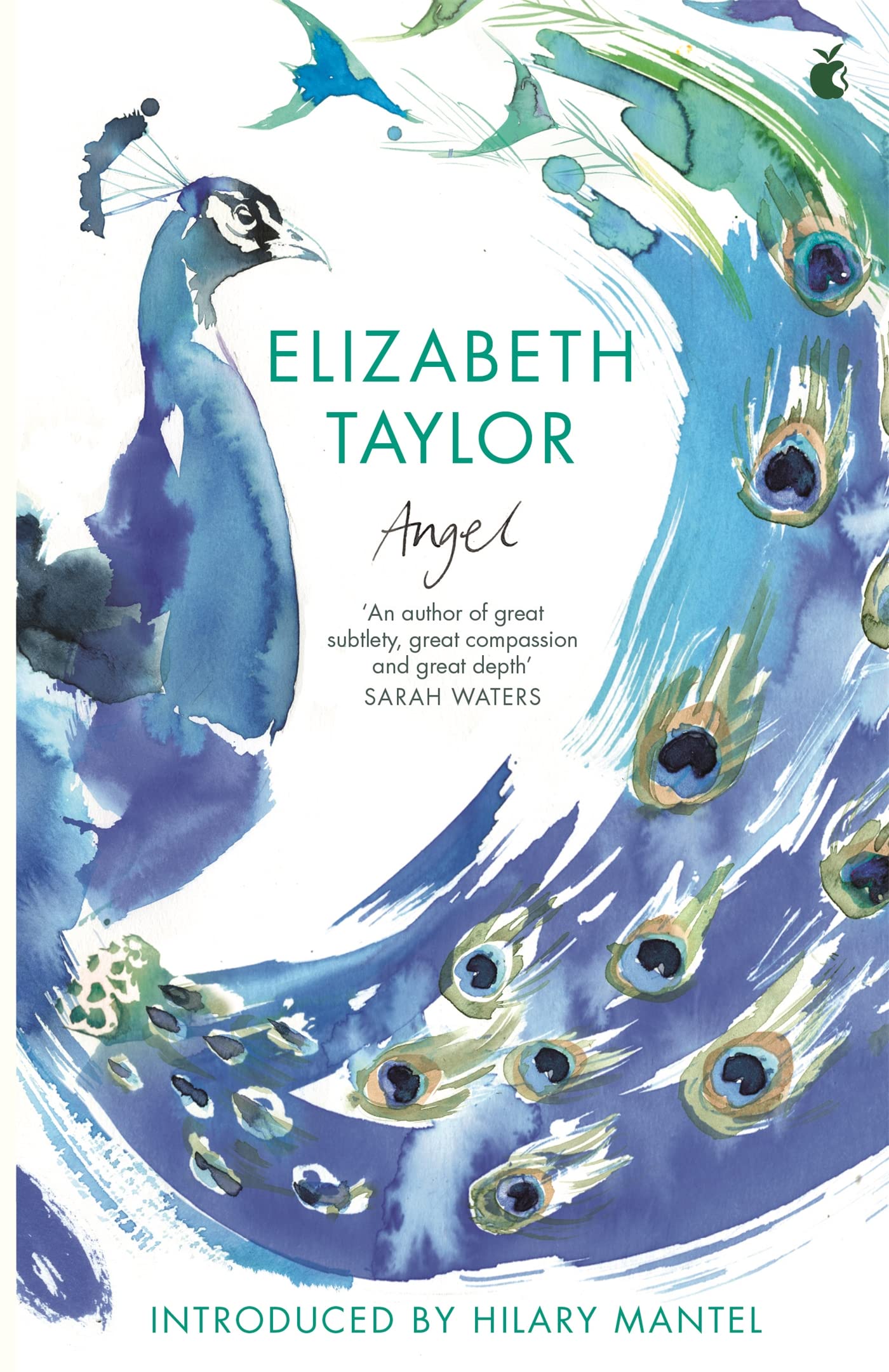 Angel (Virago Modern Classics),Used