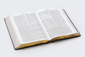 RVR60, Biblia de Estudio de la vida plena, Leathersoft Italian Duotone, Caf (Spanish Edition),Used