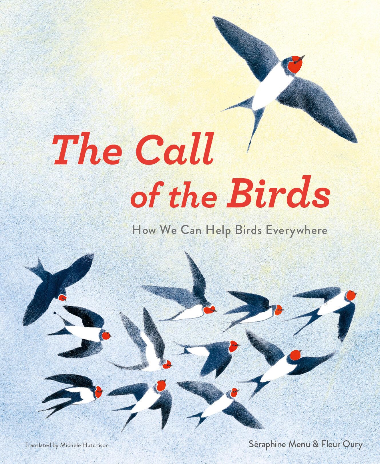 The Call Of The Birds: How We Can Help Birds Everywhere