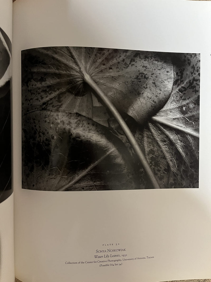Seeing Straight: The F.64 Revolution In Photography,New