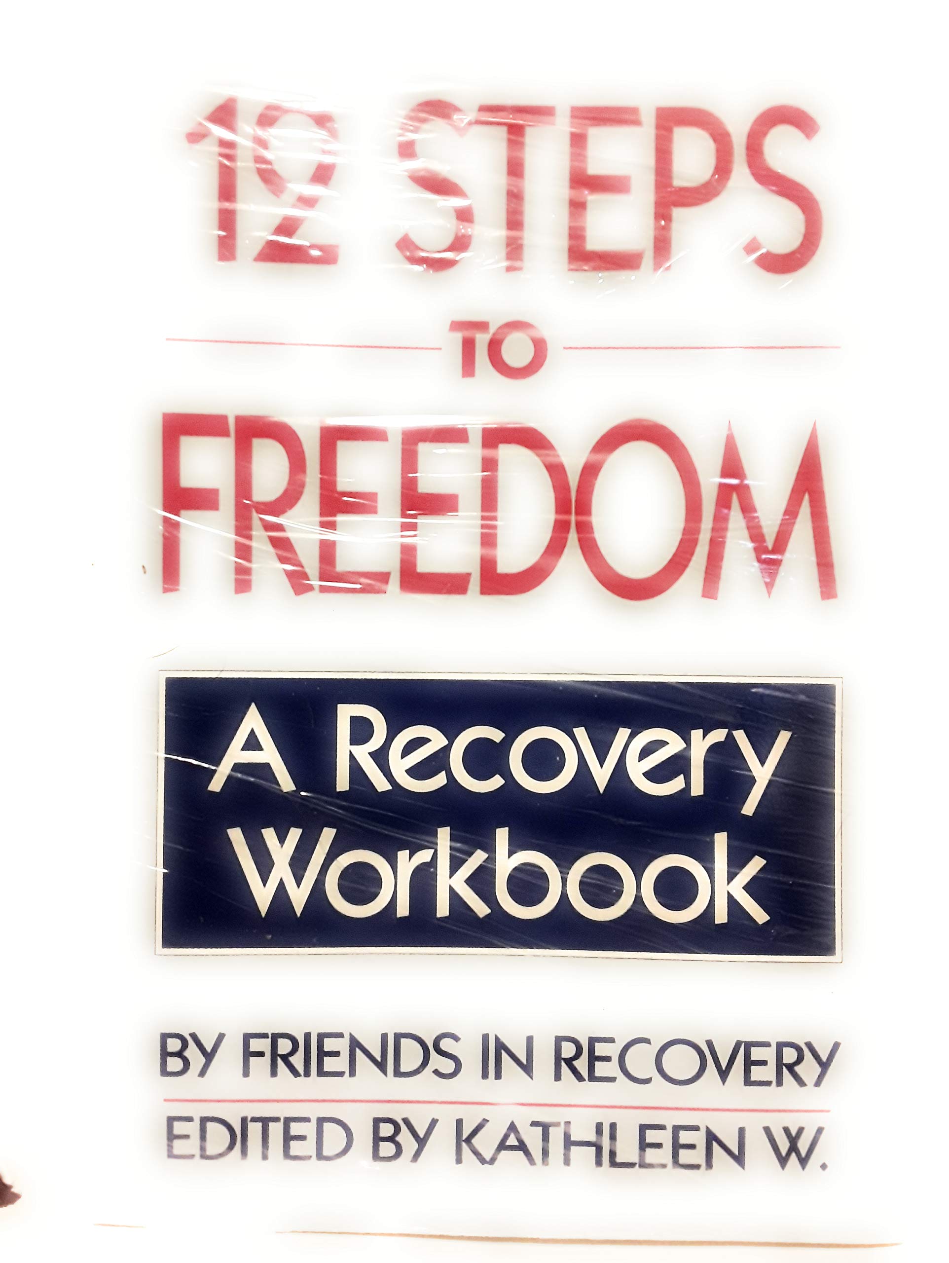 12 Steps to Freedom: A Recovery Workbook,Used