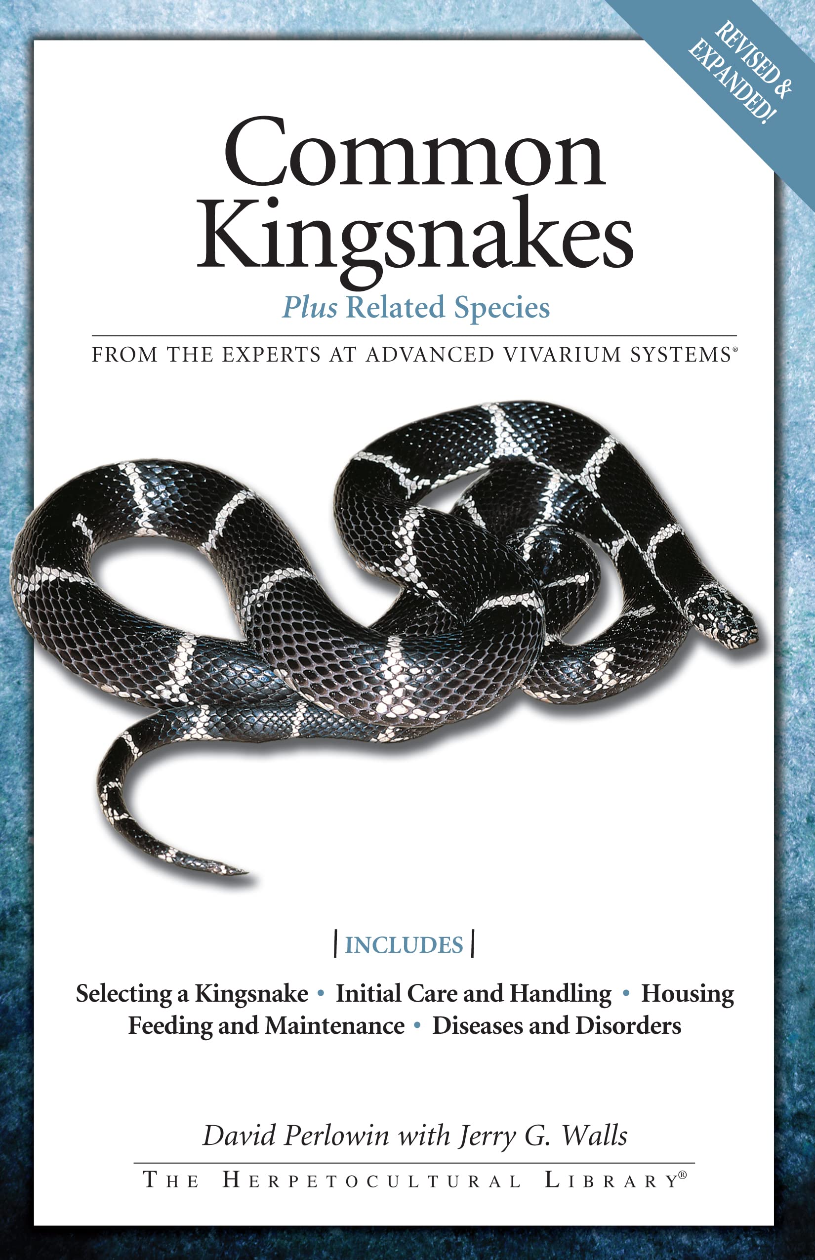 Common Kingsnakes (Advanced Vivarium Systems),Used